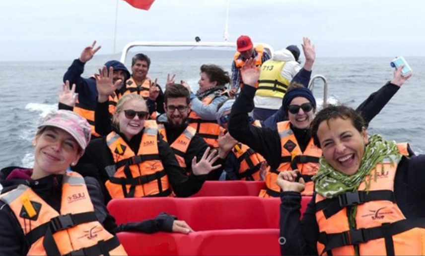 Private Whale-Watching Tour Along the Atacama Desert Coast