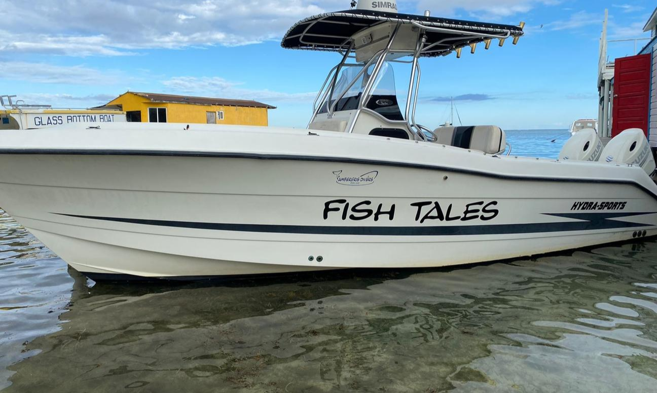 Hydra Sports 2900 – Fish and Cruise on Your Vacation!