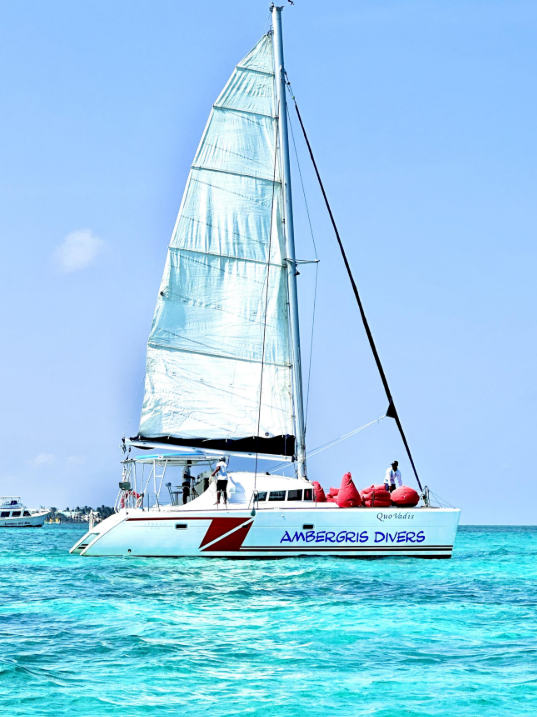 Sail Away Private Full-Day Excursion: All-Inclusive with Snorkeling & Island Hopping!