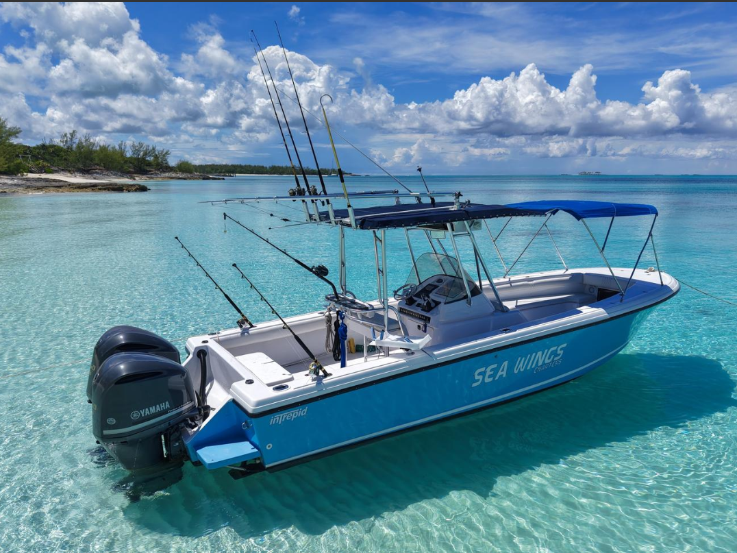 29-Ft Intrepid Charter in Nassau, Bahamas for Snorkeling, Swimming with Pigs, Turtles & More