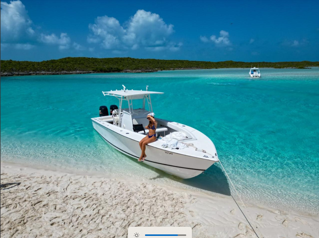 HALF-DAY EXCURSIONS – Private Swimming with Pigs in Exuma