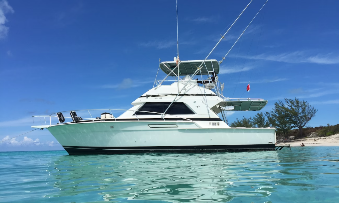 Snorkeling & Turtle Adventure on Our 43-Ft Bertram in Nassau
