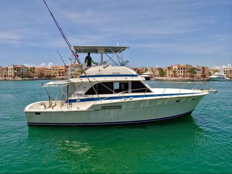 Deep-Sea Fishing in Punta Cana: 4-Hour Private Charter from Cap Cana