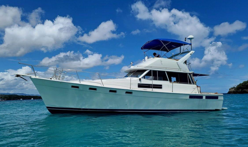 Party Aboard Our Private Boat Trip in Puerto Plata