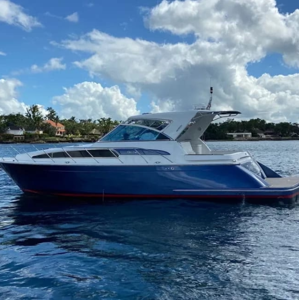 Visit Saona Island aboard this 43-Ft Chris-Craft