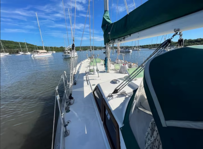 Punta Cana: Tasting the Tides – Rum, Sailing & Swimming | 4-Hour or Full-Day Options