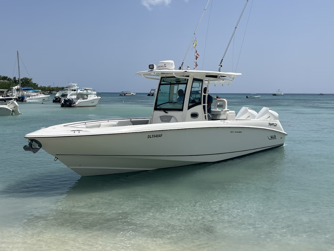 Saona Island aboard a Private Boston Whaler