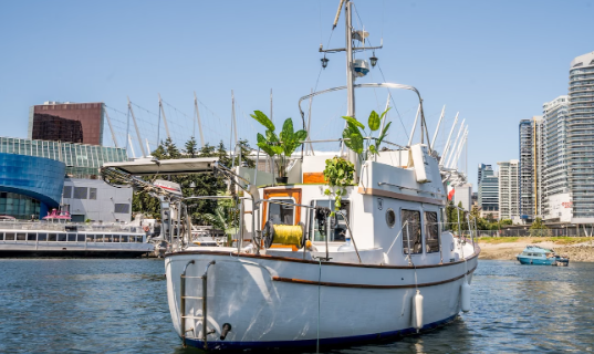 30-Ft Luxury Yachtini with Captain